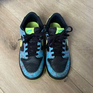 Youth Nike Dunks